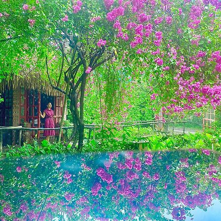 Maison Teahouse Homestay Ha Giang Exterior photo