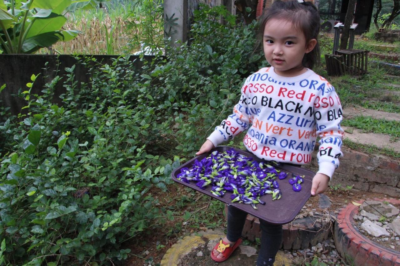 Maison Teahouse Homestay Ha Giang Exterior photo